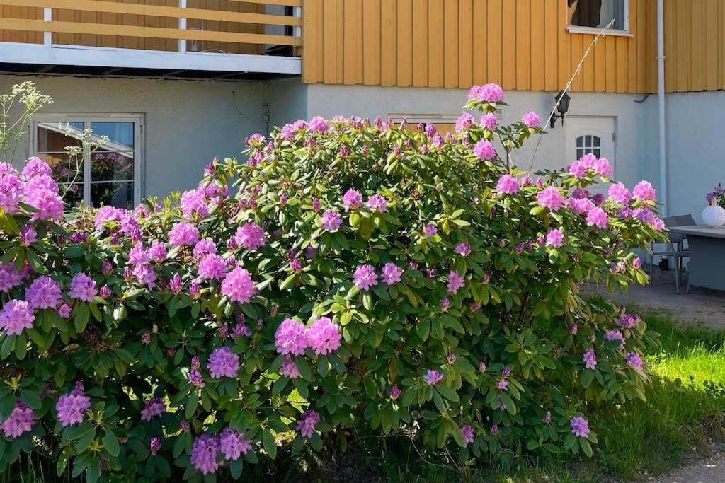 Cosy And Well-Equipped Apartment With Free Parking Trondheim Bagian luar foto