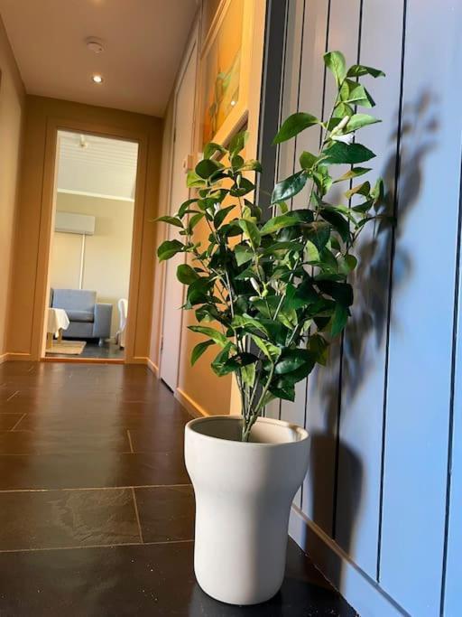 Cosy And Well-Equipped Apartment With Free Parking Trondheim Bagian luar foto